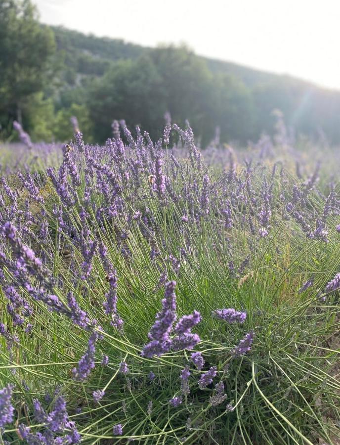 Eblouissant Appartement Au Calme D'Une Residence Avec Piscine Idealement Situe Au Pied Du Colorado Provencal Dans Le Prestigieux Luberon Rustrel Zewnętrze zdjęcie